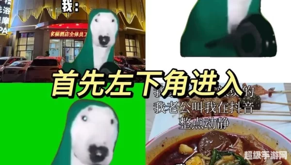 整点视频