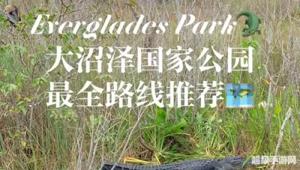 沼泽之旅