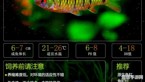 条纹潜鱼