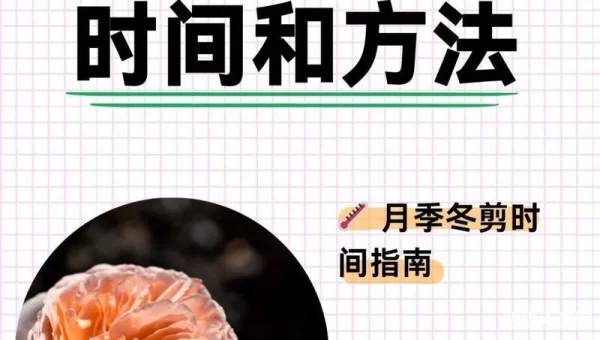 剪裁时间