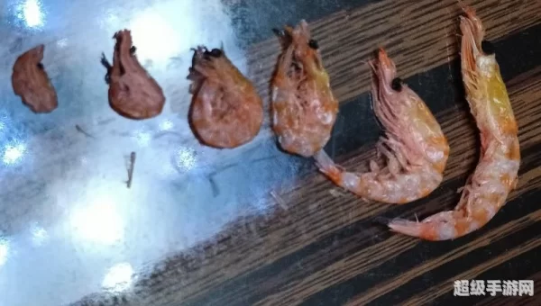 摩尔庄园磷虾