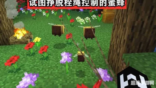 我的世界蜜蜂怎么养