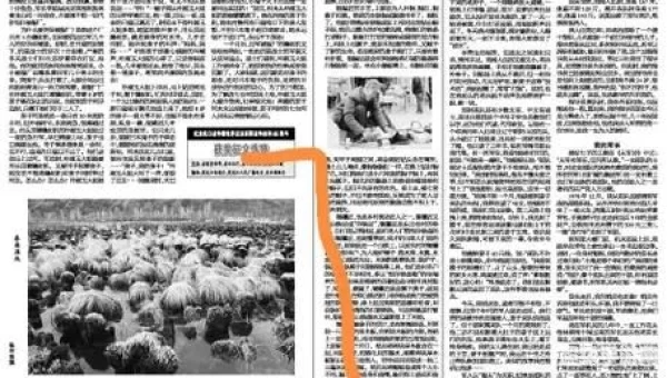 黑龙江日报