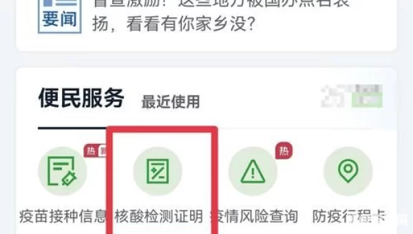 做完核酸检测在手机上怎么查结果