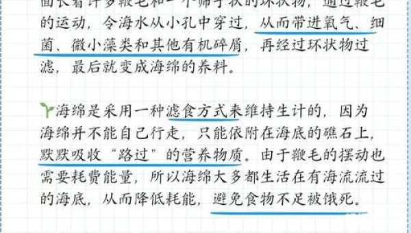 海洋里的海绵是植物还是动物
