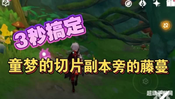 童梦的切片