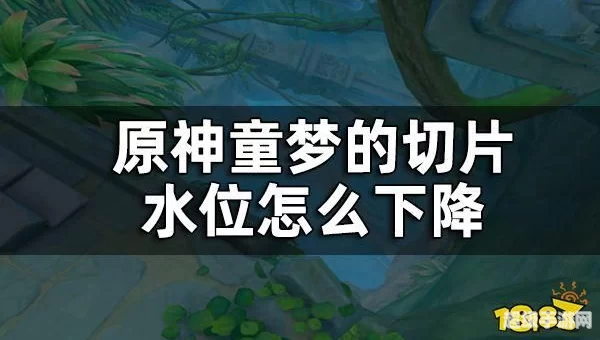 童梦的切片