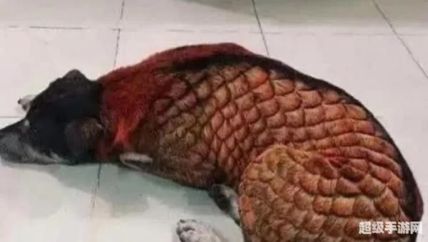 麒麟狗