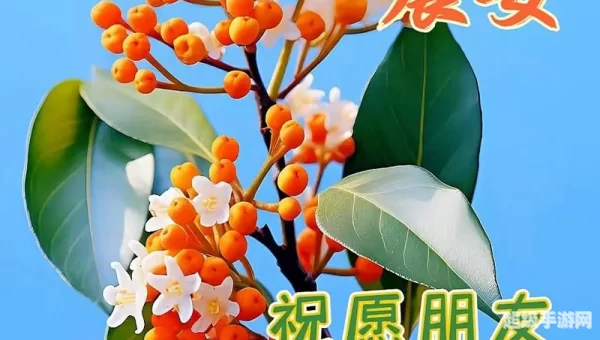 平安好生活