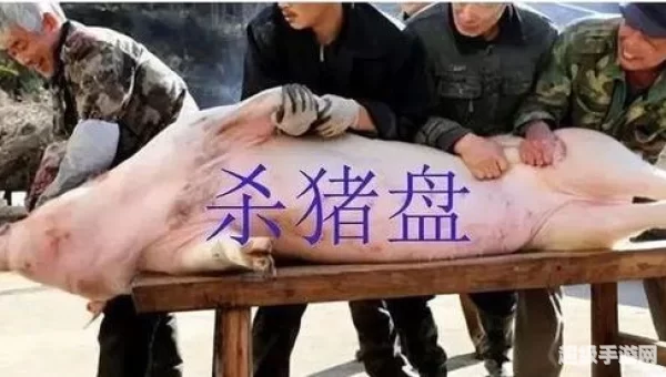 杀猪游戏