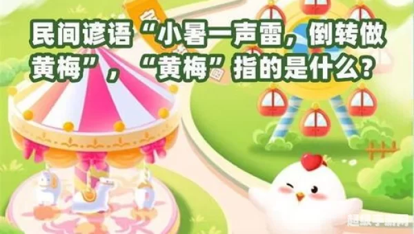 小暑一声雷倒转做黄梅是什么意思