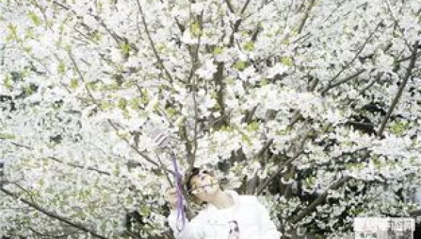 樱花视频樱花直播