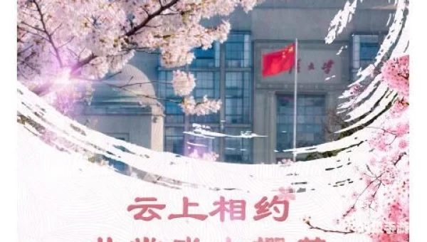 樱花视频樱花直播